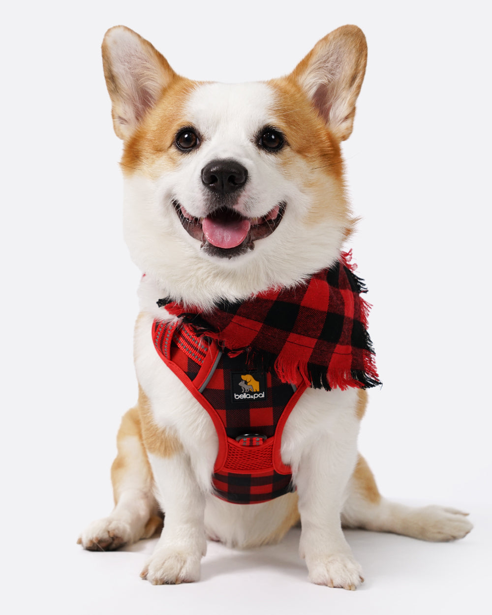Smart Pro Christmas No Pull Harness Set- Scottish Style Red Grid