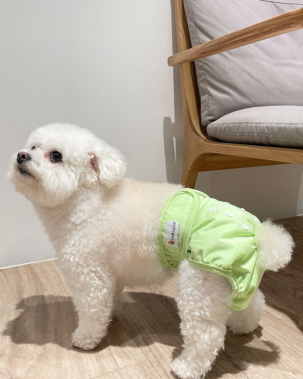 Washable Female Dog Diapers with Snaps - 3 Pack